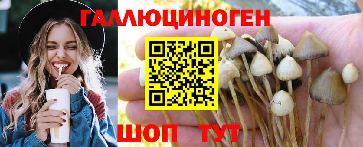 Галлюциногенные грибы Cubensis  Псилоцибиновые грибы Cubensis  Вход с VPN  Кировск 